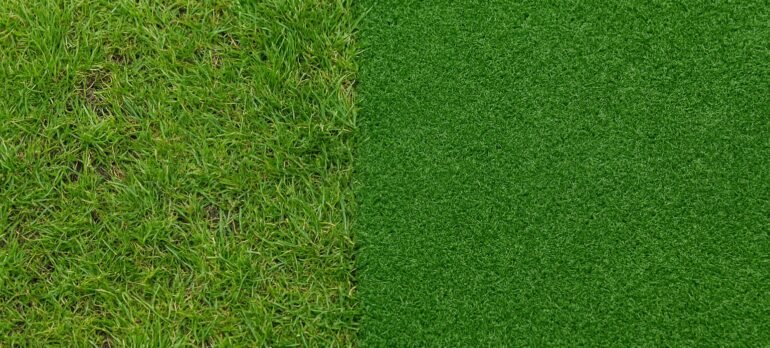 Lawn Installation vs. Turf Installation in Auckland: Which is Right for Your Property?