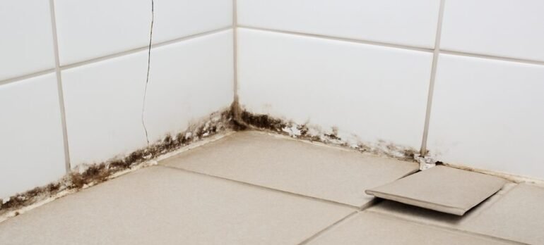 Top 5 Common Tiling and Waterproofing Issues in Homes (and How to Avoid Them)