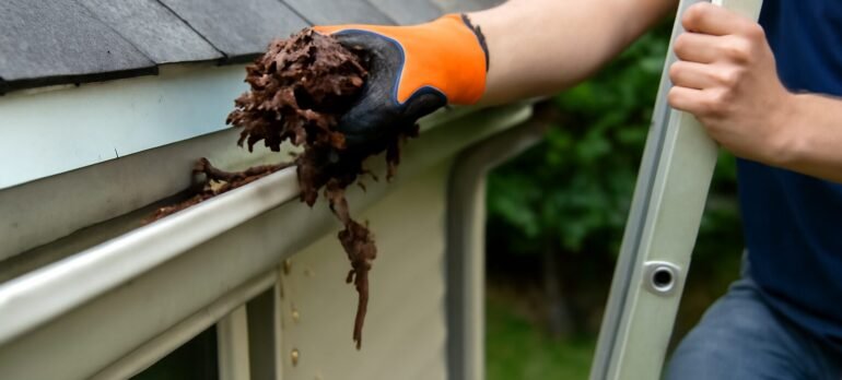 How Often Should You Schedule Gutter Cleaning? A Complete Guide